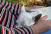 ID: 209: Reisen / Oesterreich + Bayern / Herbst 2007