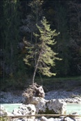 ID: 209: Reisen / Oesterreich + Bayern / Herbst 2007