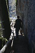 ID: 209: Reisen / Oesterreich + Bayern / Herbst 2007