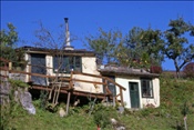 ID: 209: Reisen / Oesterreich + Bayern / Herbst 2007
