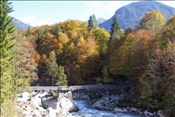 ID: 209: Reisen / Oesterreich + Bayern / Herbst 2007