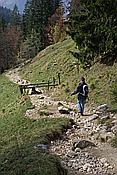 ID: 209: Reisen / Oesterreich + Bayern / Herbst 2007