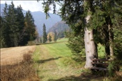 ID: 209: Reisen / Oesterreich + Bayern / Herbst 2007