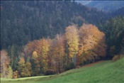 ID: 209: Reisen / Oesterreich + Bayern / Herbst 2007