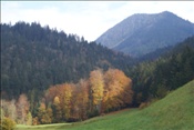 ID: 209: Reisen / Oesterreich + Bayern / Herbst 2007