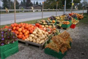 ID: 209: Reisen / Oesterreich + Bayern / Herbst 2007