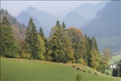 ID: 209: Reisen / Oesterreich + Bayern / Herbst 2007