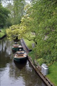 ID: 209: Giethoorn / 03.05.2008