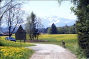ID: 209: Fruehlingsurlaub Kaernten 2008 / Spring vacation Carinthia 2008