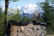 ID: 209: Fruehlingsurlaub Kaernten 2008 / Spring vacation Carinthia 2008