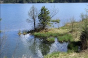 ID: 209: Fruehlingsurlaub Kaernten 2008 / Spring vacation Carinthia 2008