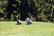 ID: 209: Fruehlingsurlaub Kaernten 2008 / Spring vacation Carinthia 2008