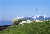 ID: 209: Fruehlingsurlaub Kaernten 2008 / Spring vacation Carinthia 2008