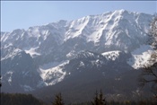 ID: 209: Fruehlingsurlaub Kaernten 2008 / Spring vacation Carinthia 2008