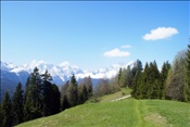 ID: 209: Fruehlingsurlaub Kaernten 2008 / Spring vacation Carinthia 2008