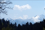 ID: 209: Fruehlingsurlaub Kaernten 2008 / Spring vacation Carinthia 2008