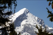 ID: 209: Fruehlingsurlaub Kaernten 2008 / Spring vacation Carinthia 2008