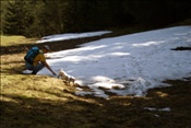 ID: 209: Fruehlingsurlaub Kaernten 2008 / Spring vacation Carinthia 2008