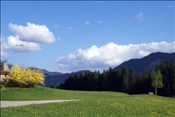 ID: 209: Fruehlingsurlaub Kaernten 2008 / Spring vacation Carinthia 2008