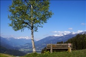 ID: 209: Fruehlingsurlaub Kaernten 2008 / Spring vacation Carinthia 2008