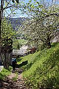 ID: 209: Fruehlingsurlaub Kaernten 2008 / Spring vacation Carinthia 2008