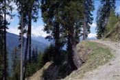ID: 209: Fruehlingsurlaub Kaernten 2008 / Spring vacation Carinthia 2008