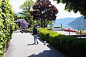 ID: 209: Fruehlingsurlaub Kaernten 2008 / Spring vacation Carinthia 2008
