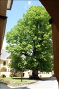 ID: 209: Fruehlingsurlaub Kaernten 2008 / Spring vacation Carinthia 2008
