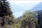 ID: 209: Fruehlingsurlaub Kaernten 2008 / Spring vacation Carinthia 2008