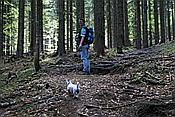 ID: 209: Fruehlingsurlaub Kaernten 2008 / Spring vacation Carinthia 2008
