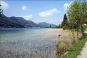 ID: 209: Fruehlingsurlaub Kaernten 2008 / Spring vacation Carinthia 2008