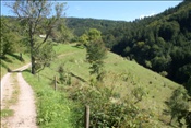 Foto SP_2008_09519: Herbsturlaub Schwarzwald / Black Forrest + Elsass / Alsace 21.09.2008 - 26.09.2008