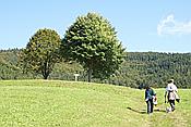 ID: 209: Herbsturlaub Schwarzwald / Black Forrest + Elsass / Alsace 21.09.2008 - 26.09.2008