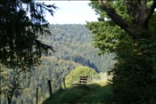 ID: 209: Herbsturlaub Schwarzwald / Black Forrest + Elsass / Alsace 21.09.2008 - 26.09.2008