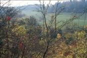 ID: 209: Burg Brandenburg / Lauchroeder / 19.10.2008