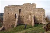 ID: 209: Burg Brandenburg / Lauchroeder / 19.10.2008