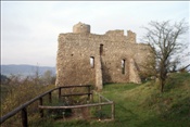 ID: 209: Burg Brandenburg / Lauchroeder / 19.10.2008