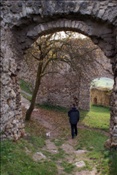 ID: 209: Burg Brandenburg / Lauchroeder / 19.10.2008