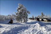 ID: 209: Rundgang / Fichtelberg / 29.12.2008