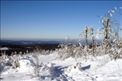 ID: 209: Rundgang / Fichtelberg / 29.12.2008