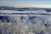 ID: 209: Rundgang / Fichtelberg / 29.12.2008