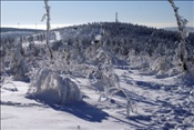 ID: 209: Rundgang / Fichtelberg / 29.12.2008