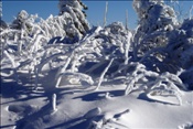ID: 209: Rundgang / Fichtelberg / 29.12.2008