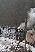 ID: 209: DR 99 7242-3 / Gernrode - Maegdesprung / 17.01.2009
