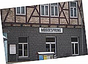 ID: 209: Bahnhofsgebauede / Maegdesprung / 17.01.2009