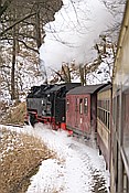 ID: 209: DR 99 7242-3 / Maegdesprung - Alexisbad / 17.01.2009