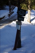 ID: 209: Winterurlaub Bayern 2009 / Winter vacation Bavaria 2009