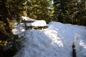 ID: 209: Winterurlaub Bayern 2009 / Winter vacation Bavaria 2009