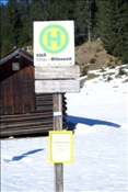 ID: 209: Winterurlaub Bayern 2009 / Winter vacation Bavaria 2009