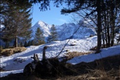ID: 209: Winterurlaub Bayern 2009 / Winter vacation Bavaria 2009